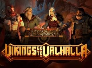 Vikings go to Valhalla game thumbnail