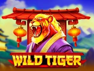 Wild Tiger game thumbnail